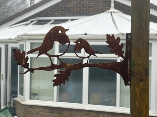 Robins on a Oak branch